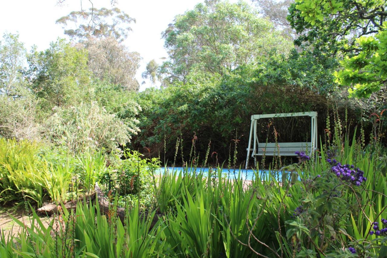 Moolmanshof Bed & Breakfast Swellendam Dış mekan fotoğraf
