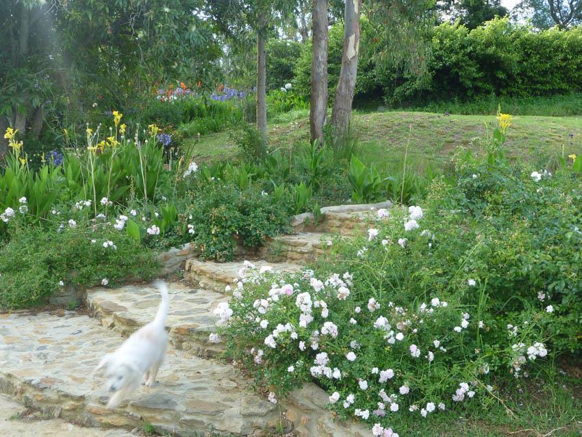 Moolmanshof Bed & Breakfast Swellendam Dış mekan fotoğraf